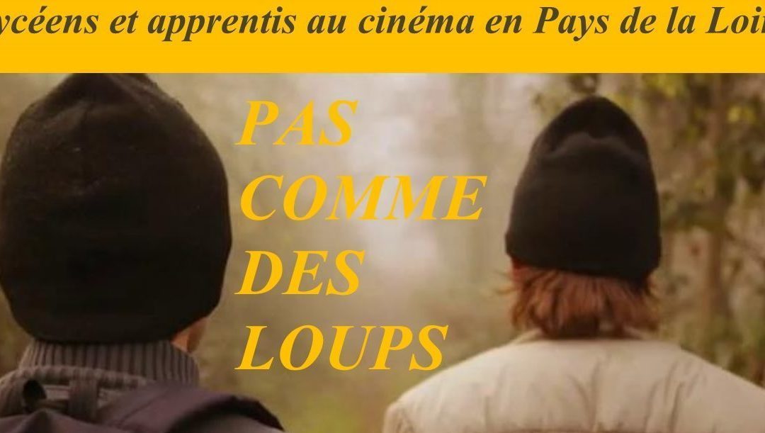 Sortie -Lycéens et apprentis au cinéma- (1-3)